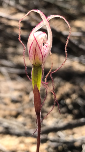 2021 08 12 Field 3.jpg